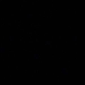 Meet your Posher, Barretta